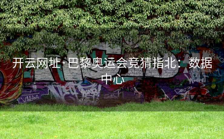 开云网址·巴黎奥运会竞猜指北：数据中心  第2张