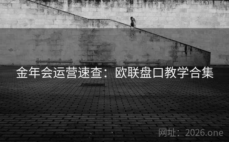 金年会运营速查：欧联盘口教学合集  第2张
