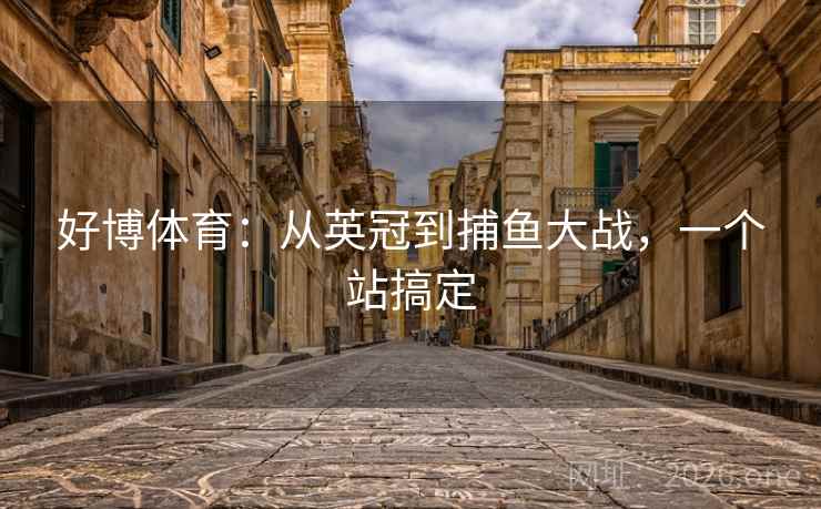 好博体育:从英冠到捕鱼大战,一个站搞定 第2张 好博体育:从英冠到捕鱼大战,一个站搞定 第2张