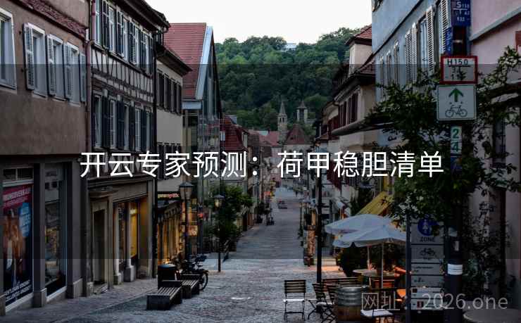 开云专家预测：荷甲稳胆清单