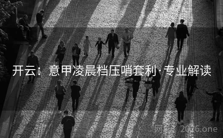 开云：意甲凌晨档压哨套利·专业解读