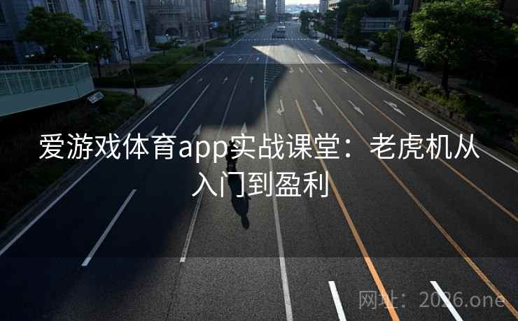 爱游戏体育app实战课堂：老虎机从入门到盈利  第2张